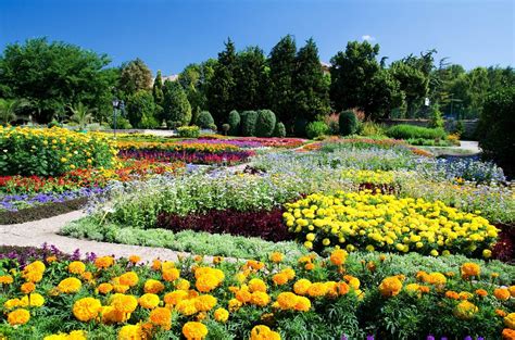 El Jardín Botánico de Ulm: Un paraíso verde en medio del corazón industrial!