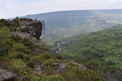  El Monasterio de Debre Libanos: Explorando la Historia y la Naturaleza en las Montañas de Etiopía